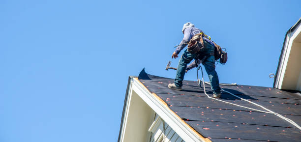 Best Roof Gutter Cleaning  in Richgrove, CA